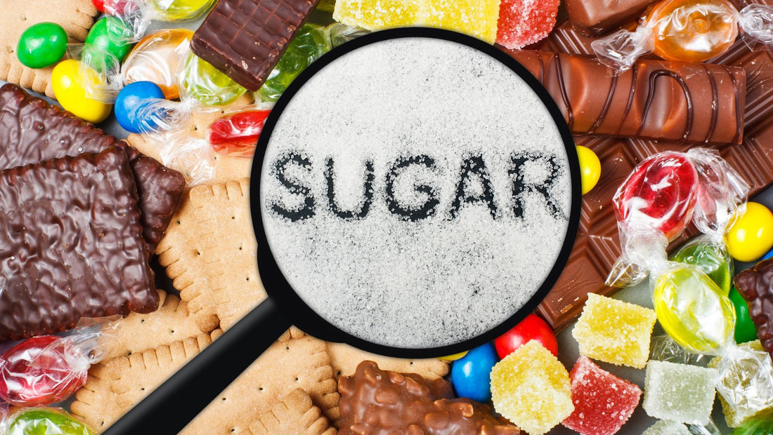 Navigating the Blood Sugar Roller Coaster – O4Nutrition MD